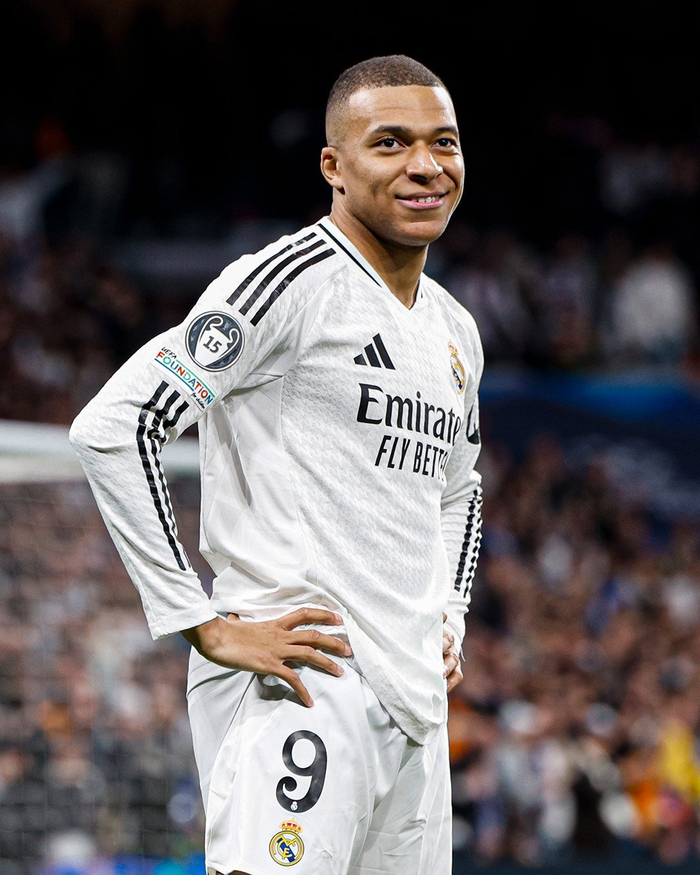 目的选帅制 目的选帅制